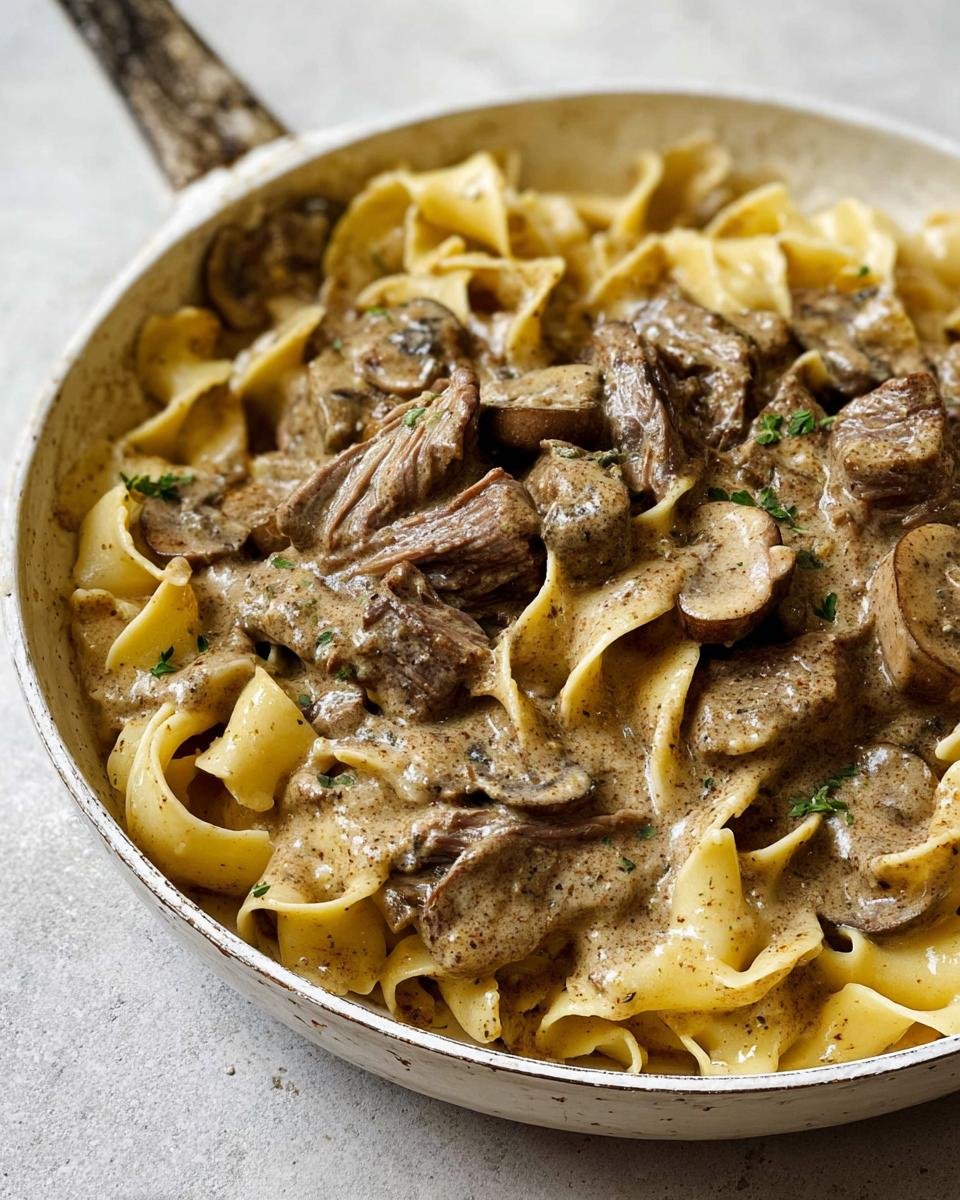 Delicious Leftover Prime Rib Recipe Ideas: Prime Rib Stroganoff with wide egg noodles in a creamy mushroom sauce.